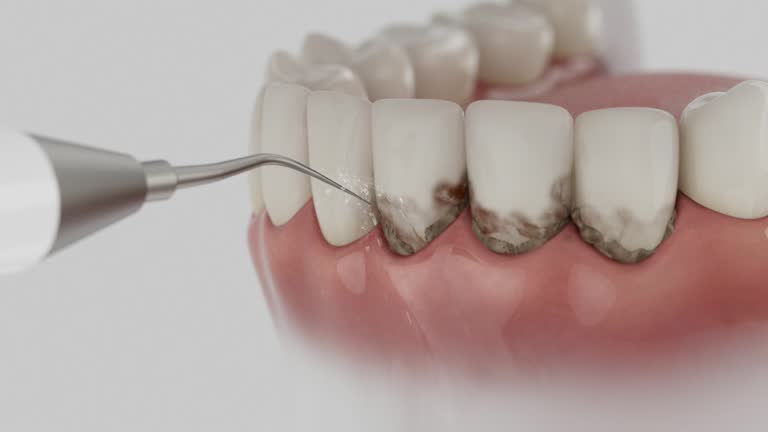 Reliable Dental contractor in National City, CA by Dentist Open Now
